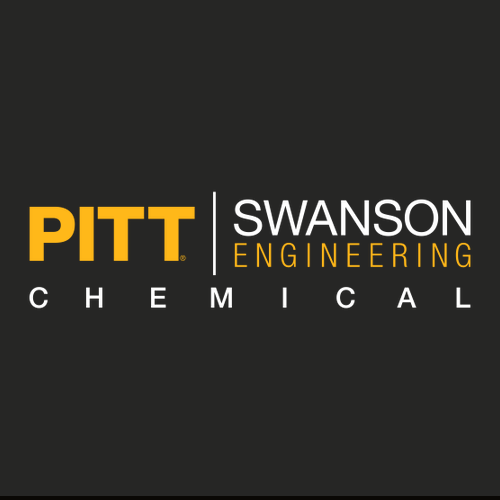 Gildan SoftStyle Fitted T-Shirt -- Black