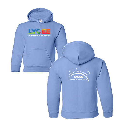 Youth Gildan Heavy Blend Hooded Sweatshirt -- Carolina Blue