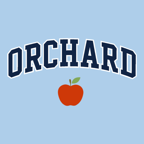 Gildan Heavy Cotton Light Blue T-Shirt