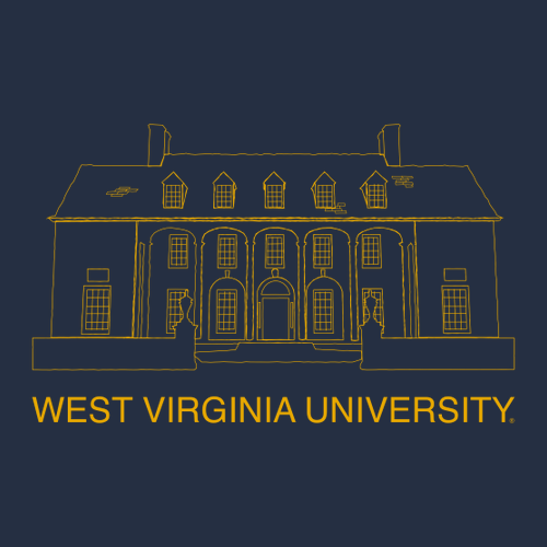 Comfort Colors Ringspun Long Sleeve Tee -- True Navy