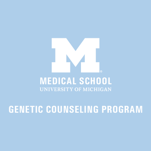 Gildan Heavy Blend Hooded Sweatshirt -- Light Blue