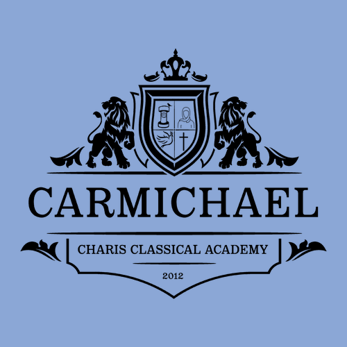 Gildan Heavy Blend Youth Hooded Sweatshirt -- Carolina Blue