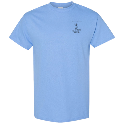 Gildan Heavy Cotton Basic T-Shirt -- Carolina Blue