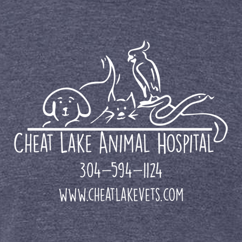 Hanes 7.8 Oz., 50/50 Comfort Blend Fleece Pullover Hood Adult -- Heather Navy