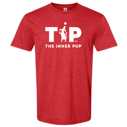 Gildan Softstyle CVC T-Shirt -- Red Mist