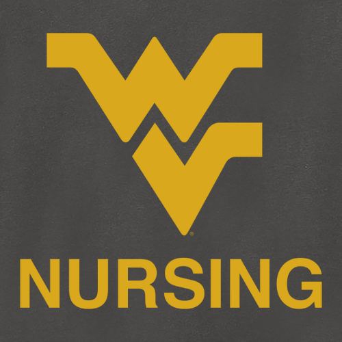 Gildan SoftStyle T-Shirt -- Charcoal
