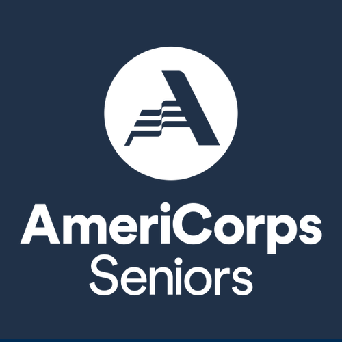 Gildan Heavy Cotton Longsleeve Basic T-Shirt -- Navy