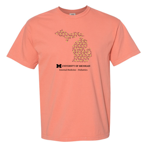 Comfort Colors Heavyweight Adult T-Shirt -- Terracotta