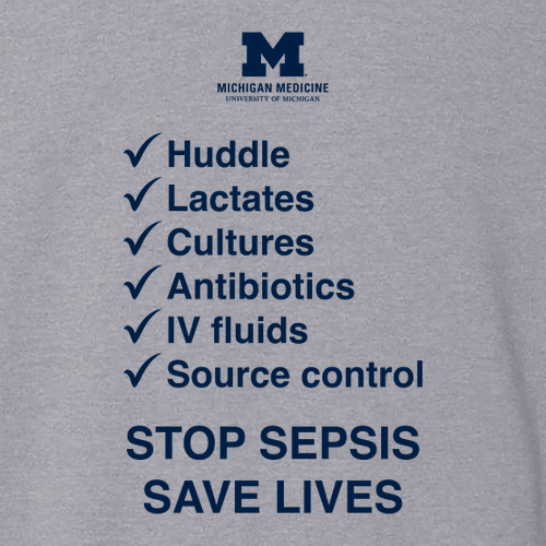 Gildan SoftStyle Fitted T-Shirt -- Sport Grey, Not Today Sepsis