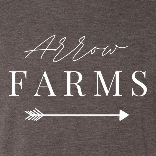 Next Level Mens TriBlend Tee -- Macchiato