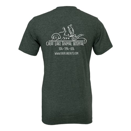 Bella Canvas Unisex Heather CVC T-Shirt -- Heather Forest