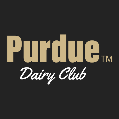 Independent Trading Co. Lightweight Windbreaker Zip Black/Graphite Jacket