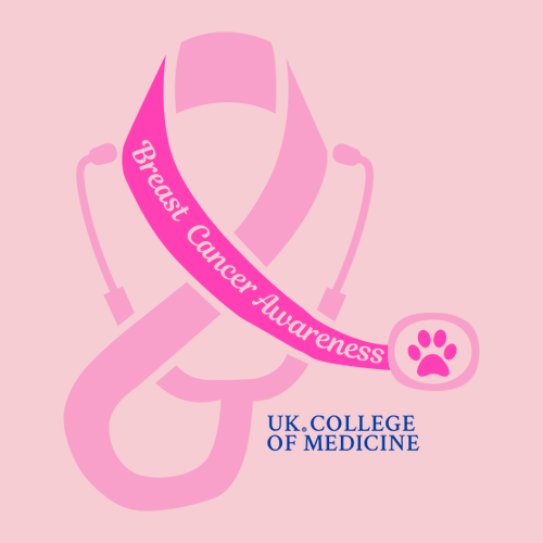 Gildan Heavy Cotton Basic T-Shirt -- Light Pink