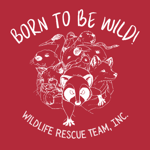 J America Unisex BTB Fleece Hooded Sweatshirt -- Red