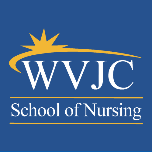 Gildan SoftStyle T-Shirt -- Royal