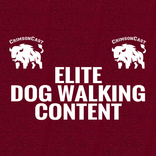 Bella Canvas Triblend Short Sleeve T-Shirt -- Cardinal Triblend