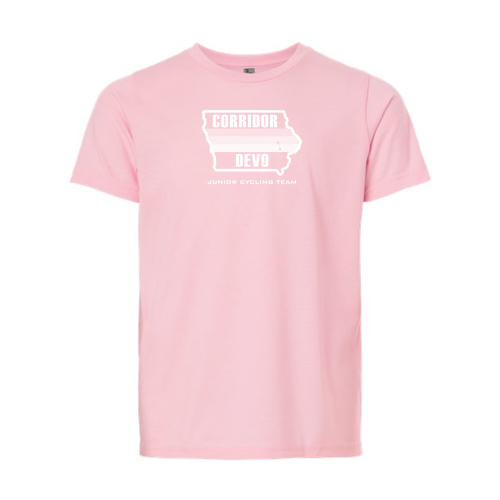 Next Level Youth CVC Crew -- Heather Light Pink