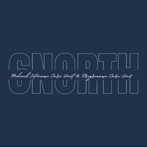 Gildan Heavy Cotton Longsleeve Basic T-Shirt -- Navy