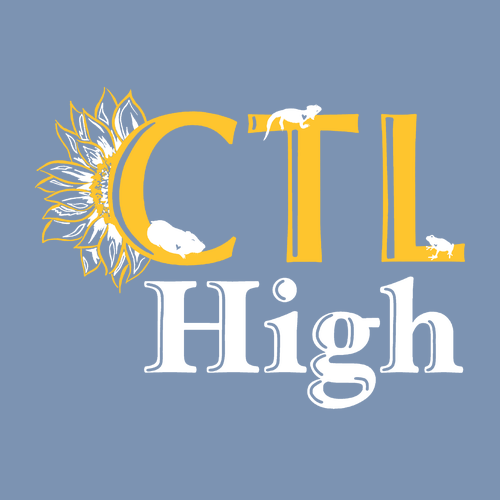 CTL High Hoodie -- Blue Jean