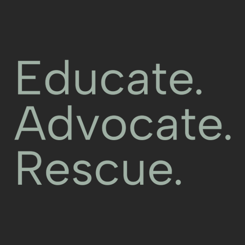 District Featherweight French Terry Hoodie T-Shirt -- Black