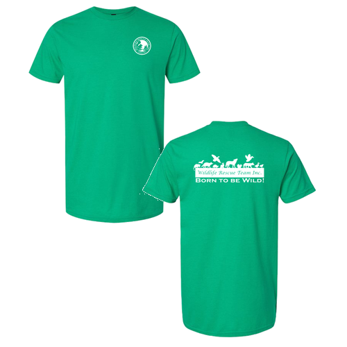 Gildan Softstyle CVC Tee -- Kelly Mist