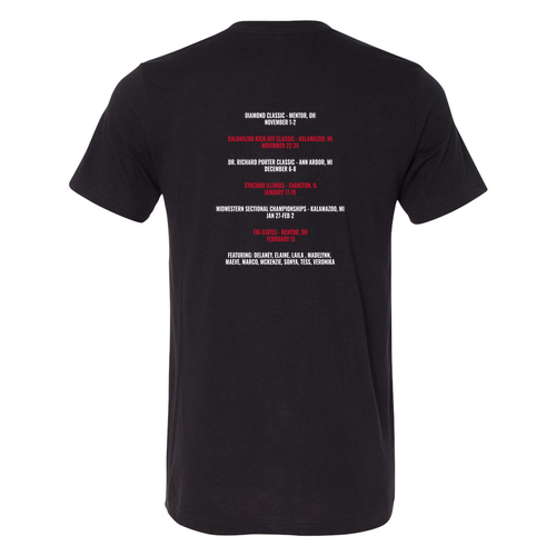 Mens/Unisex Bella Canvas Soft Fitted Triblend Short Sleeve Tee-- Solid Black Triblend