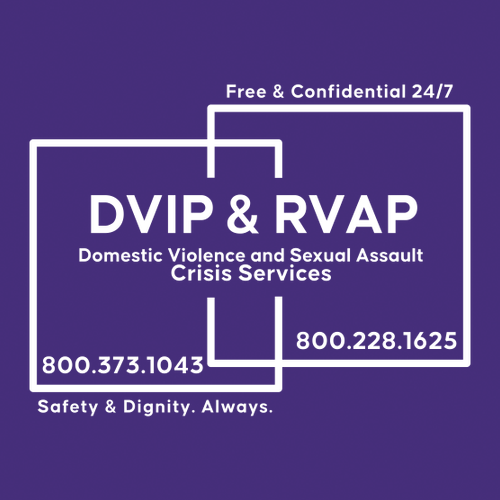 Gildan Ultra Cotton Longsleeve Basic T-Shirt -- Purple