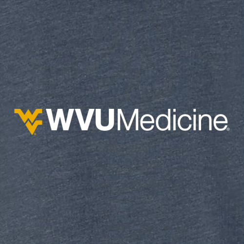 Gildan SoftStyle T-Shirt -- Heather Navy