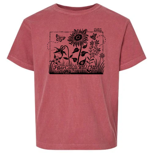 Comfort Colors Youth Garment-Dyed Heavyweight T-Shirt -- Crimson