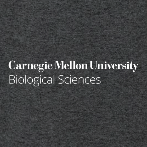 Gildan Ultra Cotton Longsleeve Basic T-Shirt -- Dark Heather