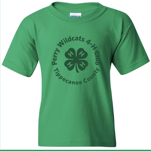 Gildan Heavy Cotton Basic Youth T-Shirt -- Irish Green