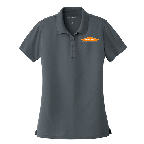 Port Authority Ladies Dry Zone UV Micro Mesh Polo -- Graphite
