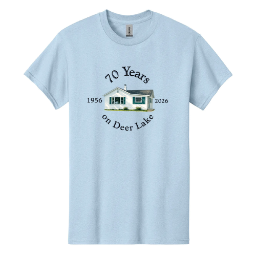 Gildan CVC Adult T-Shirt -- Light Blue Mist