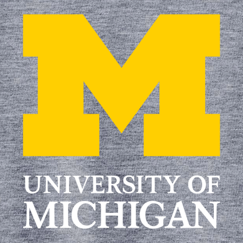 Ladies TravisMathew Oceanside Heather Polo -- Blue Nights Heather