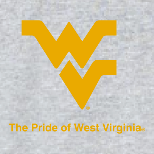 Gildan Heavy Blend Hooded Sweatshirt -- Sport Grey