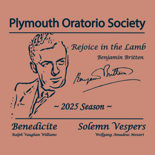 Jerzees 8 oz 50/50 Nublend Adult Hooded Sweatshirt -- Retro Heather Coral