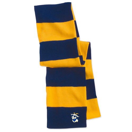 Sportsman Rugby Scarf -- Navy / Gold
