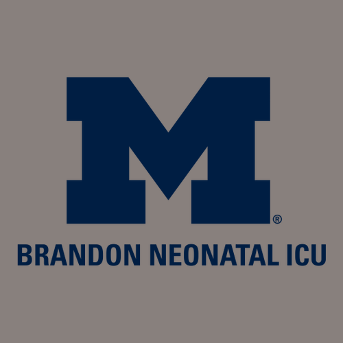 Comfort Colors Soft Quarter Zip Sweatshirt -- Grey