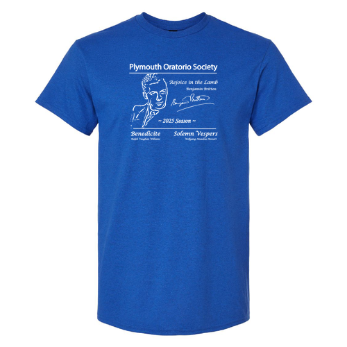 Gildan Ultra Cotton Basic T-Shirt -- Antique Royal