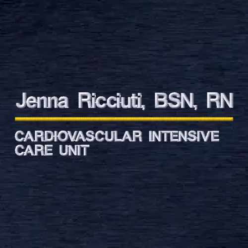 Charles River Mens Heathered Fleece Pullover -- Navy Heather