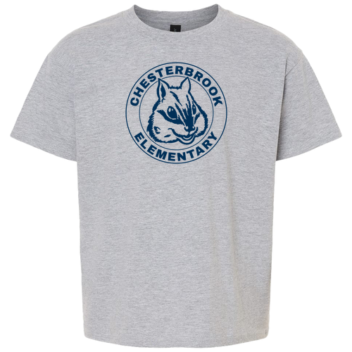 Gildan Youth Softstyle T-Shirt -- Sport Grey