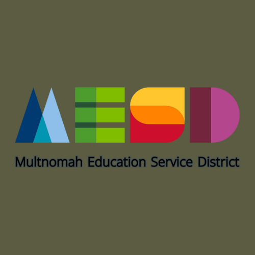 Gildan Softstyle Longsleeve T Shirt -- Military Green