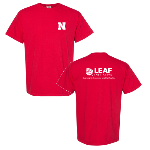 Comfort Colors Heavyweight Adult T-Shirt -- Red