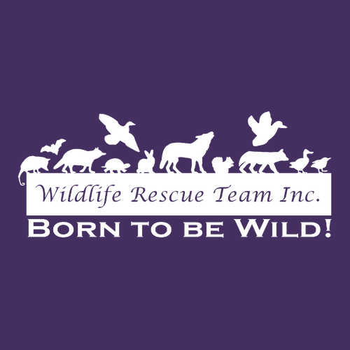 Jerzees 8 Oz. 50/50 Nublend Fleece Crew -- Deep Purple