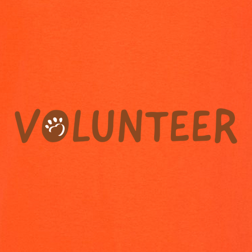 Gildan Ultra Cotton Longsleeve Basic T-Shirt -- Orange