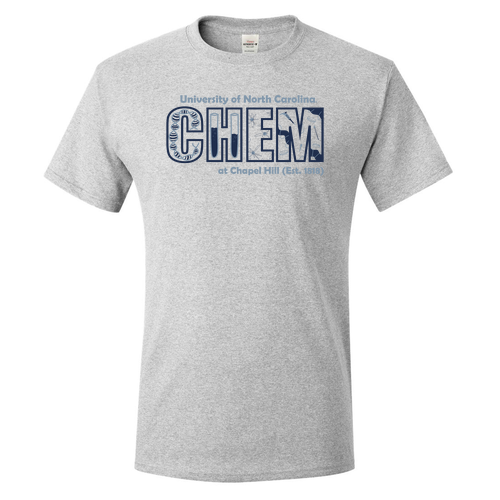 Hanes Authentic Short Sleeve T-Shirt -- Ash
