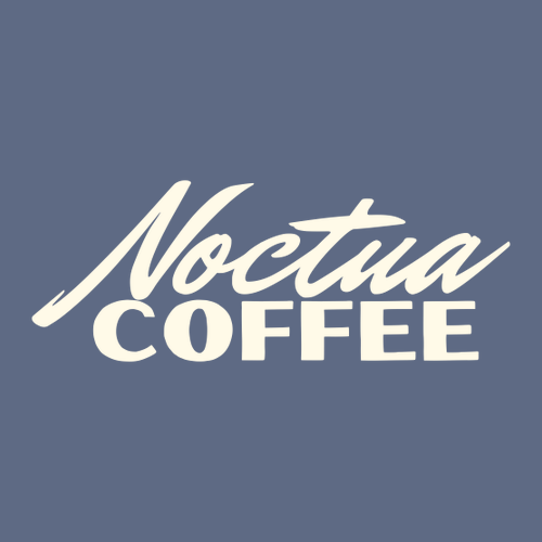 Comfort Colors Heavyweight Adult T-Shirt -- Denim (Front Only Print)