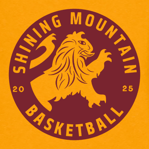 BELLA + CANVAS Sponge Fleece Hoodie -- Heather Mustard