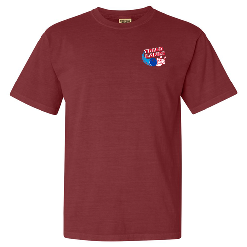Comfort Colors Ringspun Garment Dyed T Shirt -- Brick