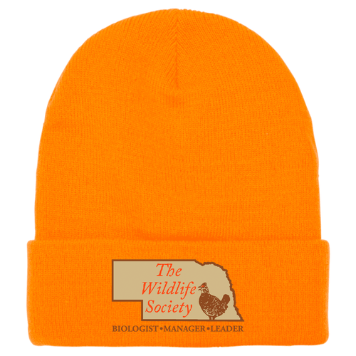 Yupoong Knit Hat with Cuff -- Blaze Orange